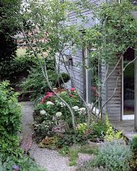Hinter Der Felsenbirne Beginnt Der Schattengarten Mit Hortensien Waldastern Heuchera Farnen Oktobersilber Schattengarten Gartengestaltung Hortensien Garten