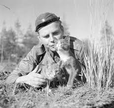 Finish Soldier Having A Moment With 2 Cats War Dogs Military Dogs Pets