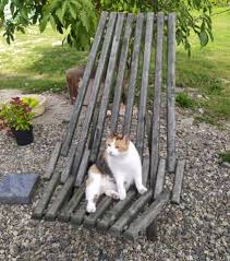 How to keep cats from pooping in your flower garden. How To Stop Cats Pooping In The Garden Bytherfarm Com