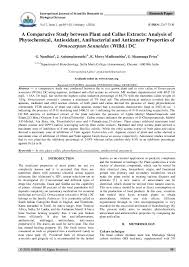 Image result for Ormocarpum sennoides