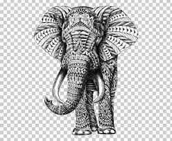 Indian Elephant Drawing Ornament Sketch Png Animals Art Asian Elephant Black Black And Whit Indian Elephant Drawing Elephant Drawing Elephant Wall Decals