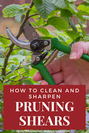 Garden shears sharpening and rust removal. How To Clean And Sharpen Pruning Shears And Other Garden Tools