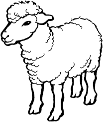 Find & download free graphic resources for sheep face. Sheep 1 Coloring Page Farm Animal Coloring Pages Sheep Drawing Animal Coloring Pages