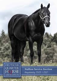 Clinton anderson's titan, ridden by andrea fappani, won the 2018 cactus reining classic open derby. 2020 Ssa Hengstkatalog
