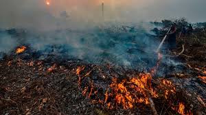 Contextual translation of pembakaran terbuka into english. Kerajaan Akan Rampas Tanah Terlibat Dalam Pembakaran Terbuka Bernama
