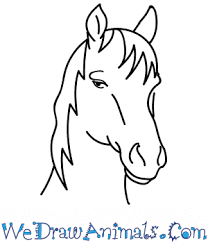 807x581 how to draw a mustang horse group. How To Draw A Mustang Horse Head