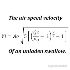 What Is The Airspeed Velocity Of An Unladen Swallow Swallow Quotes Monty Python Unladen Swallow
