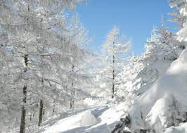 10 Winter Festivals In Korea Snow Lights Ice More Snow In Korea Korea Winter Scenic