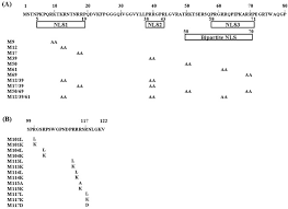 Views and comments are my own, not sap's. Mechanisms For Inhibition Of Hepatitis B Virus Gene Expression And Replication By Hepatitis C Virus Core Protein Journal Of Biological Chemistry