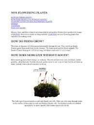 Most live in shady or damp habitats. Non Flowering Plants Pdf Pinophyta Moss