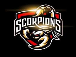 Paling Bagus 29 Gambar Mentahan Logo Ff Abu Dhabi Scorpions Logo Keren Binatang Dan Gambar E Sports Team Logo Template With Ni Di 2020 Gambar Logo Keren Desain Logo
