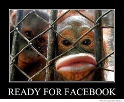 15 Hilarious Monkey Memes To Brighten Your Day I Can Has Cheezburger