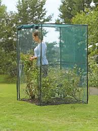 In our plot we grow blackcurrants, redcurrants, gooseberries, raspberries, strawberries and blueberries and the fruit is either eaten fresh, or my wife jill freezes it or makes jams and preserves. Crop Cage 4 Ft X 4 Ft X 6 Ft Tall Gardener S Supply