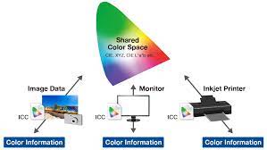 What is an icc profile? Color Management For Creators Icc Profiles Eizo