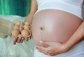 When first examining her i thought that the equipment i was using was faulty, but after several test and diagnoses, it is clear that she is pregnant with 10 babies. Pregnant Women Who Eat Eggs Have Babies With Higher Iqs Daily Mail Online