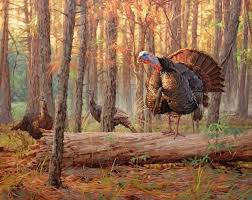 We did not find results for: Turkey Paintings