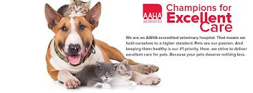 Get reviews, hours, directions, coupons and more for pet center at 3725 renee dr, myrtle beach, sc 29579. Animal Hospital Of North Myrtle Beach Home Facebook