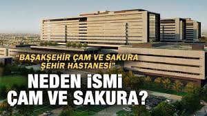 Hastanemizin adını iki ülkenin iş birliğine yaraşır şekilde başakşehir çam ve sakura şehir hastanesi olarak belirledik. Neden Ismi Cam Ve Sakura Basaksehir Sehir Hastanesi Youtube