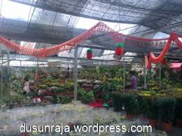 Vacation rentals in sungai buloh. Nursery Sg Buloh The Royal Orchard