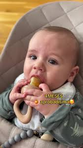 Que Le Puedo Dar De Comer A Una Golondrina Bebe