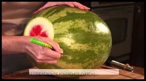 Image result for sandias preparadas