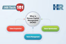 It is needed by companies to achieve goals, develop and remain innovative. What Is Human Capital Management Hcm Definition Process Platforms Tools With Examples Technology Signals