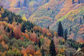 Borçka is reached by a windi. Artvin Borcka Karagol Kultur Portali Medya Kutuphanesi
