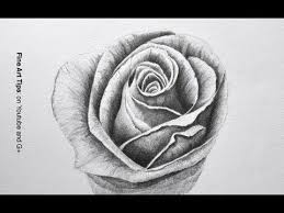 How To Draw A Rose With Pencil Flower Drawing Flower Sketch Pencil Roses Drawing