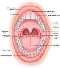 Aching pain in and around your ear. Oral Cancer The State Of The Art Of Modern Day Diagnosis And Treatment Intechopen