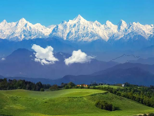 Unveiling the Biodiversity of Binsar Wildlife Sanctuary ...