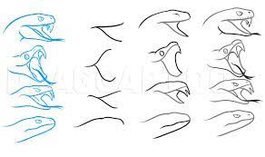 How To Draw A Snake Head Draw Snake Heads Step By Step Drawing Guide By Dawn Dragoart Com Download for free in png, svg, pdf formats. to draw a snake head draw snake heads