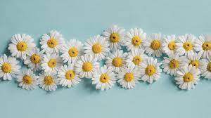 5 Ways Chamomile Tea Benefits Your Health