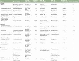 Overview Protozoan And Helminth Parasites Pathogen