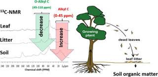Matter anything that has mass and takes up space. Soil Organic Matter Formation Is Controlled By The Chemistry And Bioavailability Of Organic Carbon Inputs Across Different Land Uses Sciencedirect