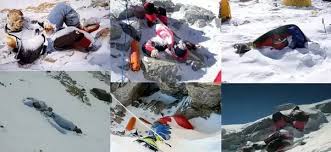 Learn about hannelore schmatz net worth, biography, age, birthday, height, early life, family hannelore schmatz is a famous west german mountain climber. How Many Days Did David Sharp Endured Before His Death Over Mt Everest Quora