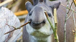 Klicken sie auf start und suche. Staatstrojaner Neue Uberwachungsbefugnisse Fur Geheimdienste