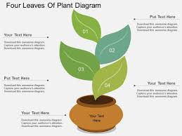 See plate 1.for the herbal that appears with truelove in ms bodl. Four Leaves Of Plant Diagram Powerpoint Template Powerpoint Templates