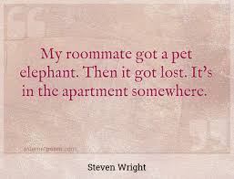 My roommate got a pet elephant. My Roommate Got A Pet Elephant Then It Got Lost It S In The Apartment Somewhere