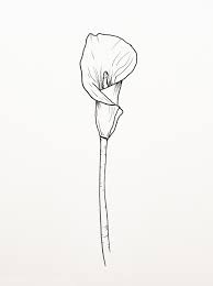 Ink in all the gaps between the keys. Spring Flowers Ink Drawing Illustration Ink Pen Drawings Flower Drawing