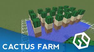 This is the option that i think is best. Amazing Minecraft Cactus Farm Tutorial By Mctreasureisland