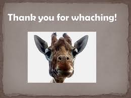 Sabina Stipič, 4.Kb. is related to deer and cattle, but is placed in a  separate family, the Giraffidae, Its range extends from Chad to South  Africa.