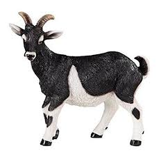 Black And White Goat Wallpaper Pin On Dinning Room