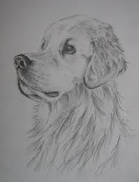 In creion desene in creion cute portret in creion desene cu balerine desenez fete de desenat desene cu fete cool. Desene In Creion Cu Animale CÄƒutare Google Drawings Art Club Painting Drawing