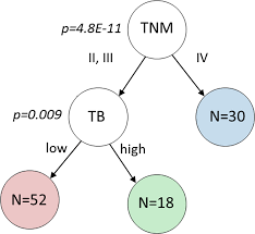 Information is a powerful weapon against uncertainty and fear, and you can use this to your advantage. Automated Tumour Budding Quantification By Machine Learning Augments Tnm Staging In Muscle Invasive Bladder Cancer Prognosis Scientific Reports