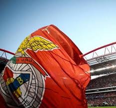 Nacional v benfica prediction and tips, match center, statistics and analytics, odds comparison. Covid 19 Pedido De Adiamento Do Benfica Vs Nacional Serbenfiquista Com