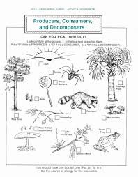 Producers And Consumers Worksheet Elegant Pin On Life Sciences In 2020 Biology Worksheet Science Worksheets Ecosystems