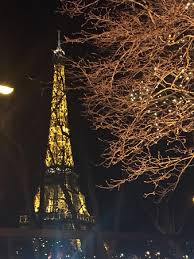 Terrace Eiffel Tower View Picture Of Monsieur Bleu Paris Tripadvisor
