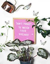A Delightful Funny Blog About Plants Plants Quotes Plants Plant Pictures