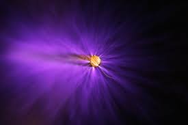 Apart from this, moose also tend to cause other damage to back yards, farms, and crops with and without its running abilities. Is Lightning Fast Plasma The Key To A Cleaner Car Engine Wired