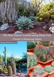Their spines, their overall shape and size, or their amazing flowers. 20 Best Desert Landscaping Ideas For Your Backyard Happy Diy Home